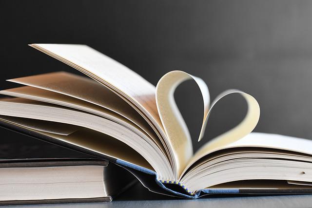 booksLovers Books lover